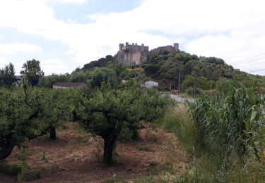 Excursión Bicicleta híbrida Foz do Arelho - Obidos - Photo