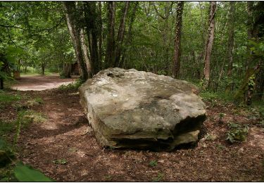 Tour Zu Fuß Sarlat-la-Canéda - Chemin Harrison Barker (Vallée Dordogne) - Photo