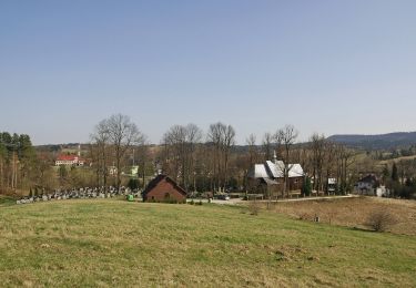 Percorso A piedi Czarna Dolna - Ścieżka przyrodnicza Siedlisko - Photo