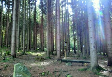 Tour Zu Fuß Gefrees - Gefrees Rundwanderweg Nr. 2 - Photo