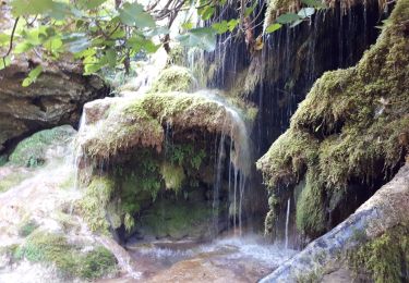 Trail Walking Montauroux - Le long de la Siagne du Pont de la Siagne D2562 Bambouseraie - Photo