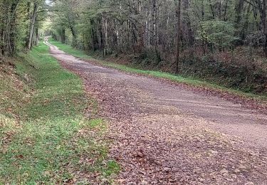 Randonnée Marche Briare - Troussebois - Photo