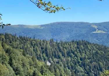 Trail Walking Ventron - Autour du bussant  - Photo