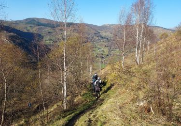 Trail Walking Arrens-Marsous - Arrens Marsous G3 2024 aulhe - Photo