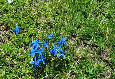 Trail Walking Valloire - plan Lachat - les Mottets -lac des Cerces  - Photo