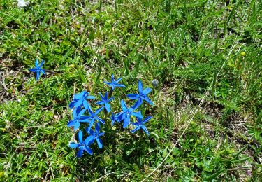 Tour Wandern Valloire - plan Lachat - les Mottets -lac des Cerces  - Photo