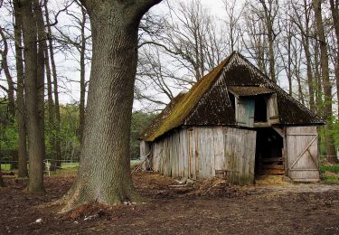 Tocht Te voet Südheide - Südheide 'Im Reich der Heidschnucken' W10l (lange Tour) - Photo