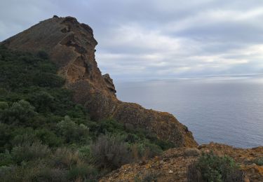 Tocht Stappen La Ciotat - exploratio Nd Garde  - Photo