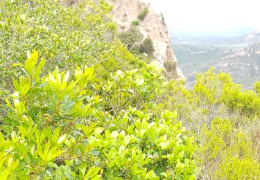 Tocht Stappen Saint-Raphaël - Pic du cap roux - Photo