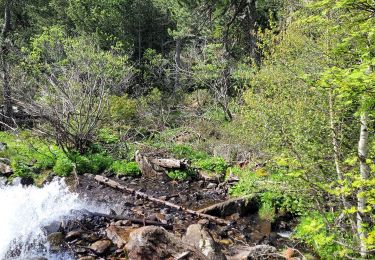 Tocht Stappen Les Angles - Le lac des Balmettes - Photo