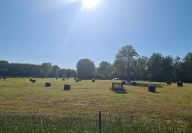 Excursión Senderismo Moÿ-de-l'Aisne - parcours Moy de l'Aisne - Vendeuil - Photo