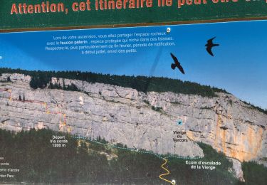 Excursión Senderismo Saint-Martin-en-Vercors - 38 grotte cheminée gour fumant pot du loup - Photo