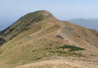 Excursión Senderismo Juzet-d'Izaut - pic du cagire - Photo