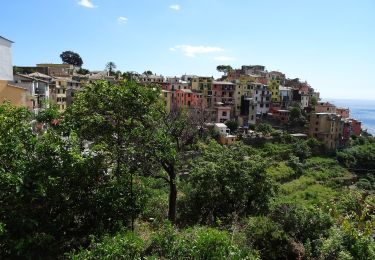 Tour Zu Fuß Vernazza - S.Bernardino – Murro sup. - Mad.di Reggio - Photo