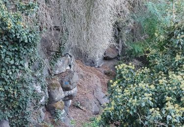 Tour Wandern Les Martres-de-Veyre - PUY DE CORENT - Photo