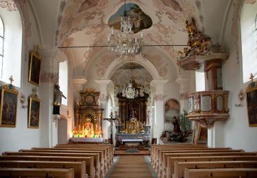 Percorso A piedi Gemeinde Rinn - Rundwanderweg Hasental - Photo