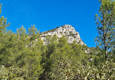 Trail Walking La Valette-du-Var - Coudon fort Girardin sud - Photo