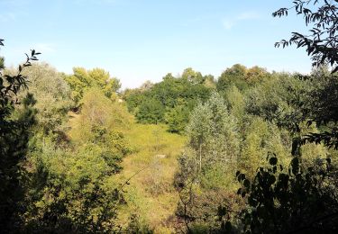 Tocht Te voet Gemeinde Müllendorf - Hoad2 (Müllendorfer Walkingstrecken) - Photo