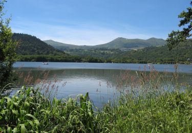 Tocht Te voet Mont-Dore - Le Mont-Dore / Lac Chambon - Photo