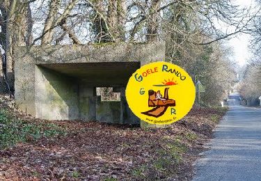 Trail Walking Borest - SM_BOREST SUD_7.6Km - Photo