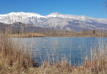 Excursión Bici de montaña Vif - Plaine de Reymure - Reco pour MN - Photo