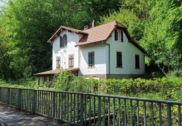 Percorso Bici ibrida Bischwiller - canal de la marne au rhin - Photo