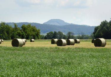 Trail On foot Morschen - Niederellenbach Rundweg N3 - Photo