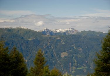 Randonnée A pied Millstatt am See - Alexanderhütte-Sommeregger Hütte - Photo