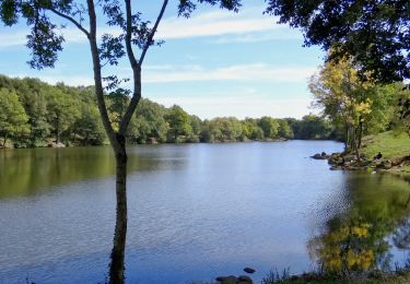 Trail Walking Fayet-le-Château - Fayet_Chateau_Ronde_Fours - Photo