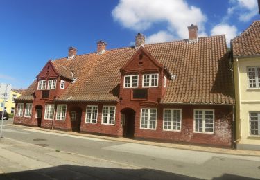 Trail On foot  - Rød Kløversti, Aabenraa - Photo