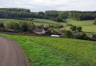 Trail Road bike Paron - 126 SE80 Les Bordes # Les Sièges-01 - Photo
