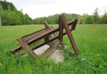 Tocht Te voet Böblingen - DE-SAV Blaues Kreuz, Böblingen - Waldenbuch - Photo