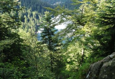 Tour Nordic Walking Woll - Marc_JORDAN_2018-06-03_10-28-11 LAC AUX CORBEAUX - Photo