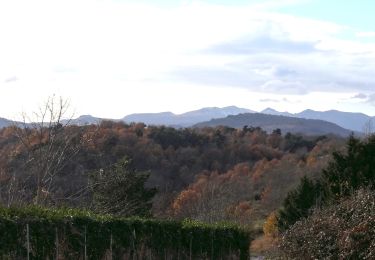 Trail Walking Verrières - Verrieres_Bourgeassou - Photo