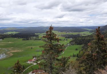 Excursión Senderismo Bellefontaine - Le Risoux -  la Roche Bernard - Photo