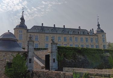 Tocht Stappen Saint-Hubert - autour de Mirwart  - Photo