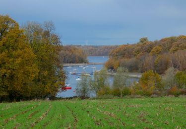 Randonnée A pied Froidchapelle - Balade au Lac de l'Eau d'Heure - Photo