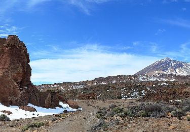 Randonnée A pied La Orotava - S-30 Los Valles - Photo