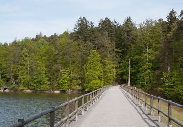 Trail On foot Unknown - DE-SAV Roter Punkt, Solitude - Vaihingen - Photo