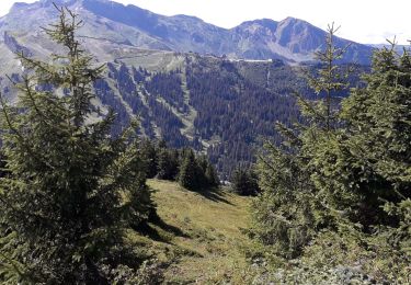 Trail Walking Abondance - Tete des lindarets - Photo