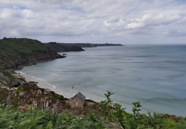 Tocht Stappen Plouha - pointe Napoléon  - Photo