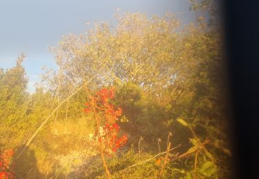 Tour Wandern Sainte-Anastasie - russan - Photo