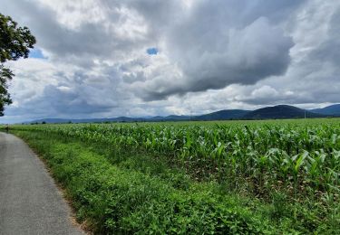 Tour Wandern Labarthe-Rivière - Camon - Photo