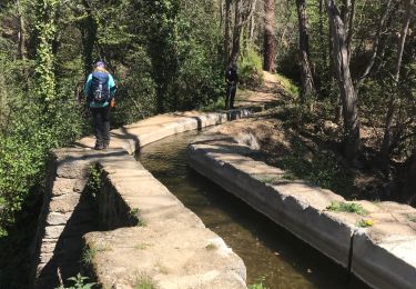 Trail Walking Prades - Canal de Boera - Abbaye St Michel-de-Cuxa - Taurinya - Tour de Corts en boucle - Photo