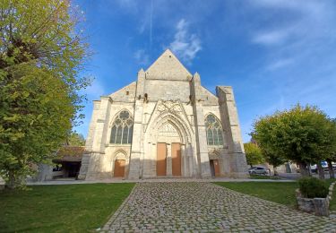 Percorso A piedi Saint-Sulpice-de-Favières - Randonnée Saint-Sulpice-de-Favieres n°2 - Photo