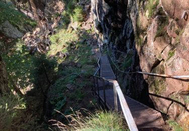 Trail Walking Le Valtin - Sentier des roches - Photo