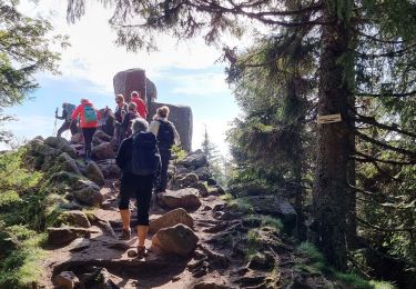 Trail Walking Orbey - ARCA LAC NOIR - Photo