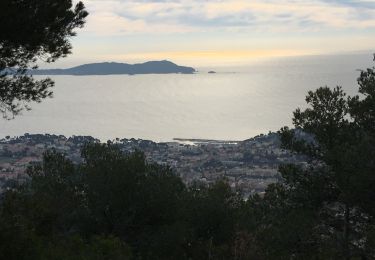 Tocht Stappen Hyères - Grotte carqueiranne  - Photo