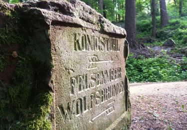 Tour Zu Fuß Unbekannt - Via naturae - Photo