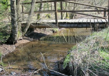 Percorso A piedi Hellenthal - Wasseramselpfad - Photo